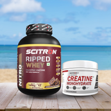 Scitron Nitro Series Ripped Whey - Chocolate Fudge Brownie - 1.81 kg with Scitron Creatine Monohydrate - unflavoured - 100g