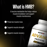 Scitron Advance Protein | Yeast Isolate & Whey Blend | 24g per Scoop | HMB | DigeZyme | 20 Vitamins & Minerals | Gut Friendly | Faster Recovery | PDCAAS 1 | 1kg