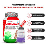 Advance Whey Protein with 20 Vitamins & Minerals