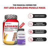 Advance Whey Protein with 20 Vitamins & Minerals