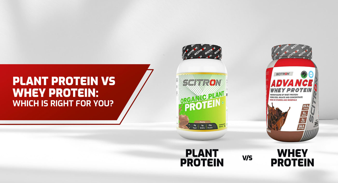 Plant Protein vs Whey Protein: Which Is Right for You?