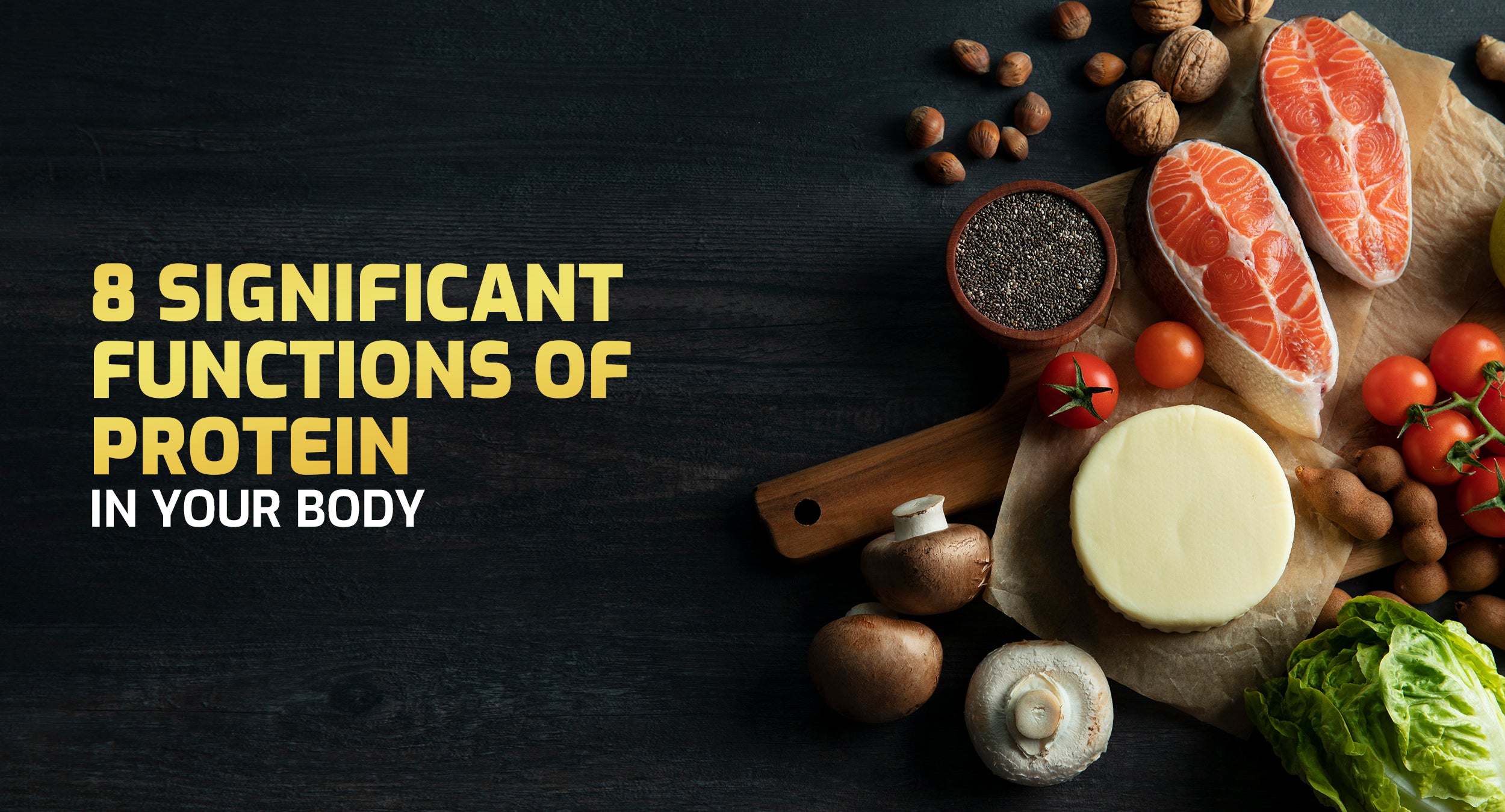 8 Significant Functions Of Proteins In The Body | Scitron