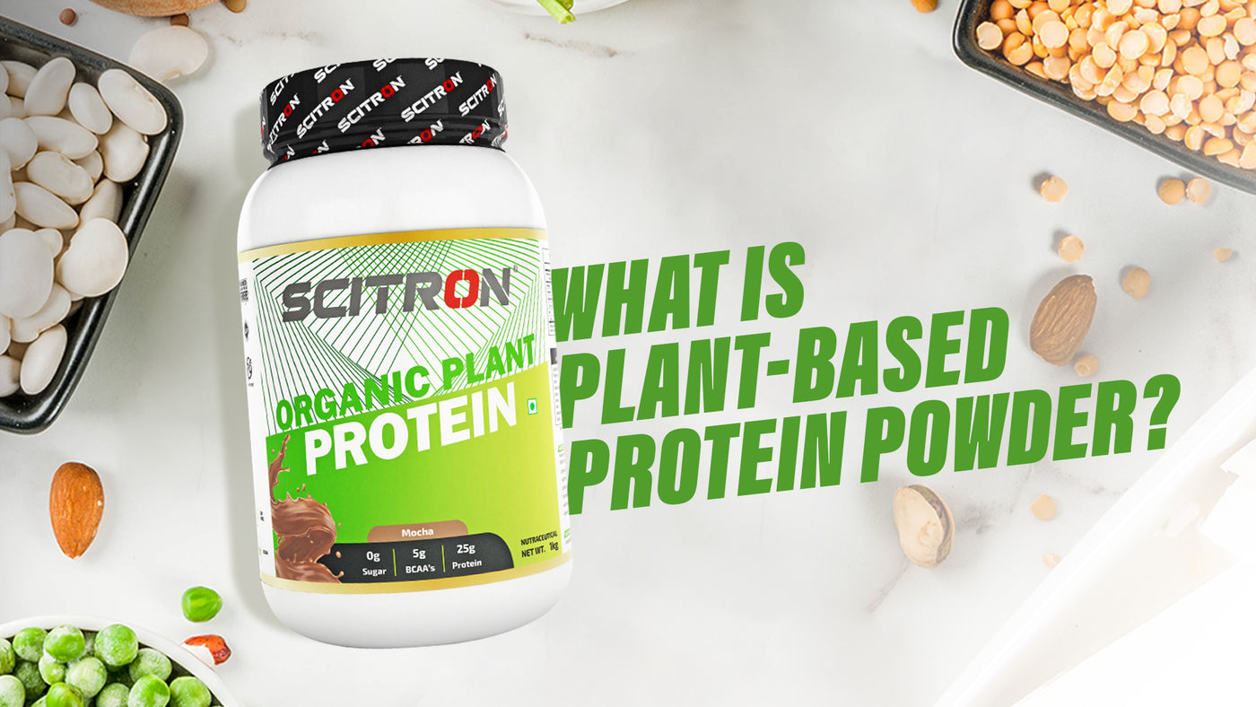What Is Plant-Based Protein Powder