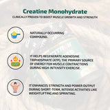 Nitro Series Creatine Monohydrate