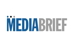 media brief