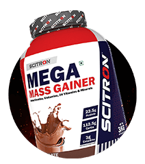 mega mass gainer