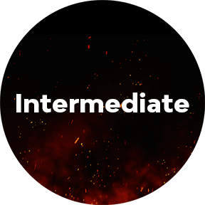 intermediate level